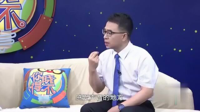 你晓得不:生活中,我们怎么判断环境噪声,是否对人体有危害