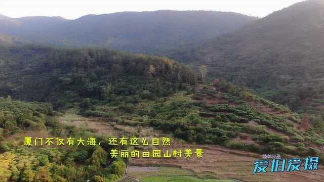 厦门不仅有海,还有这么一处幽静的小山脉,空气清新而美景怡人