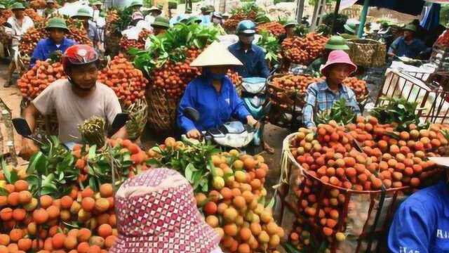 越南谜之行为,取消对中国游客免签,后开放5个国家免签