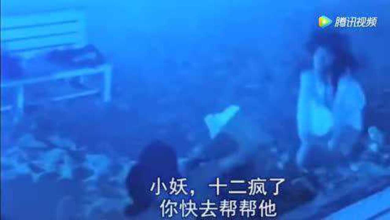 英叔经典恐怖片甩皮鬼精彩片段让你一秒都不愿错过