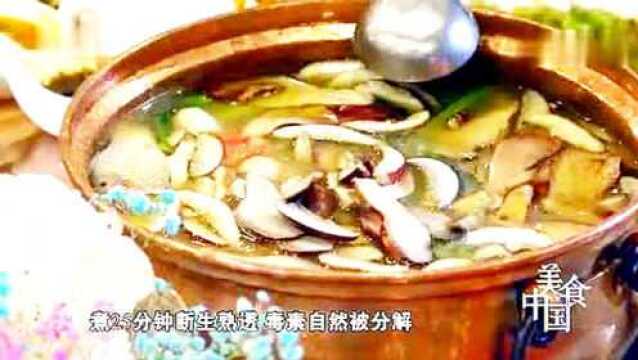 野生菌火锅:鲜甜营养菌火锅汤底如何做?菌火锅美味背后的秘诀是什么?