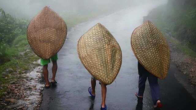 全球最“潮湿”的地方,一年有335天都在下雨,被子都长满了蘑菇!