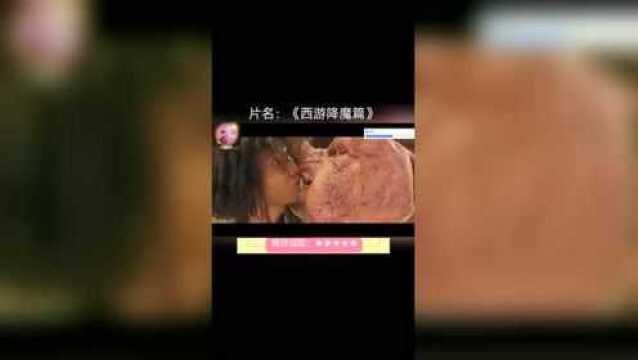 人跟变异的猪亲亲