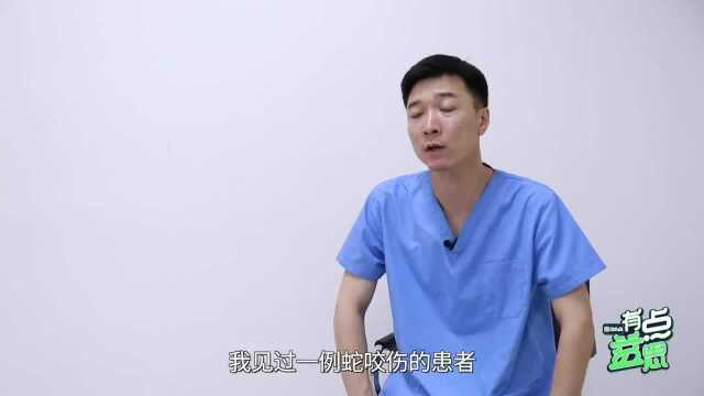 急救知识:被蛇咬伤,应该如何处理?