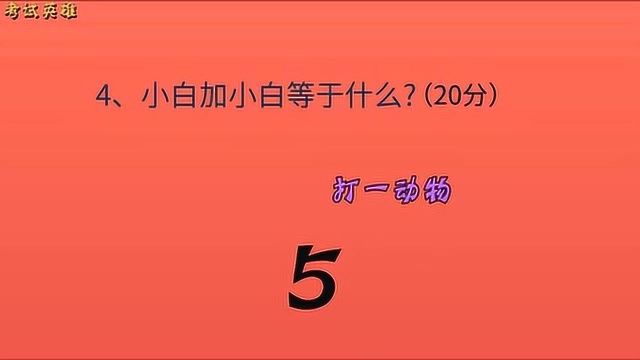 脑力测试:小白加小白等于什么?大家猜猜