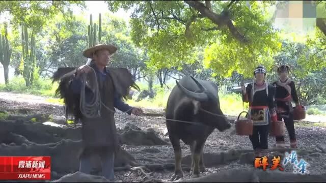 霞浦:光影滩涂旅摄“圣地”之一——杨家溪!