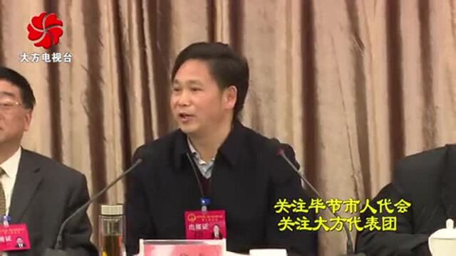 市委副书记 市长张集智参加大方县代表团审议!