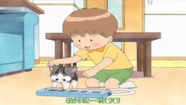 甜甜私房猫:口风琴