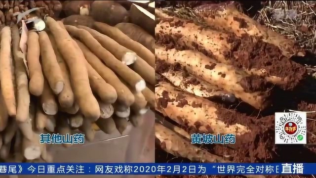 网购山药难保鲜 市场销售品种杂