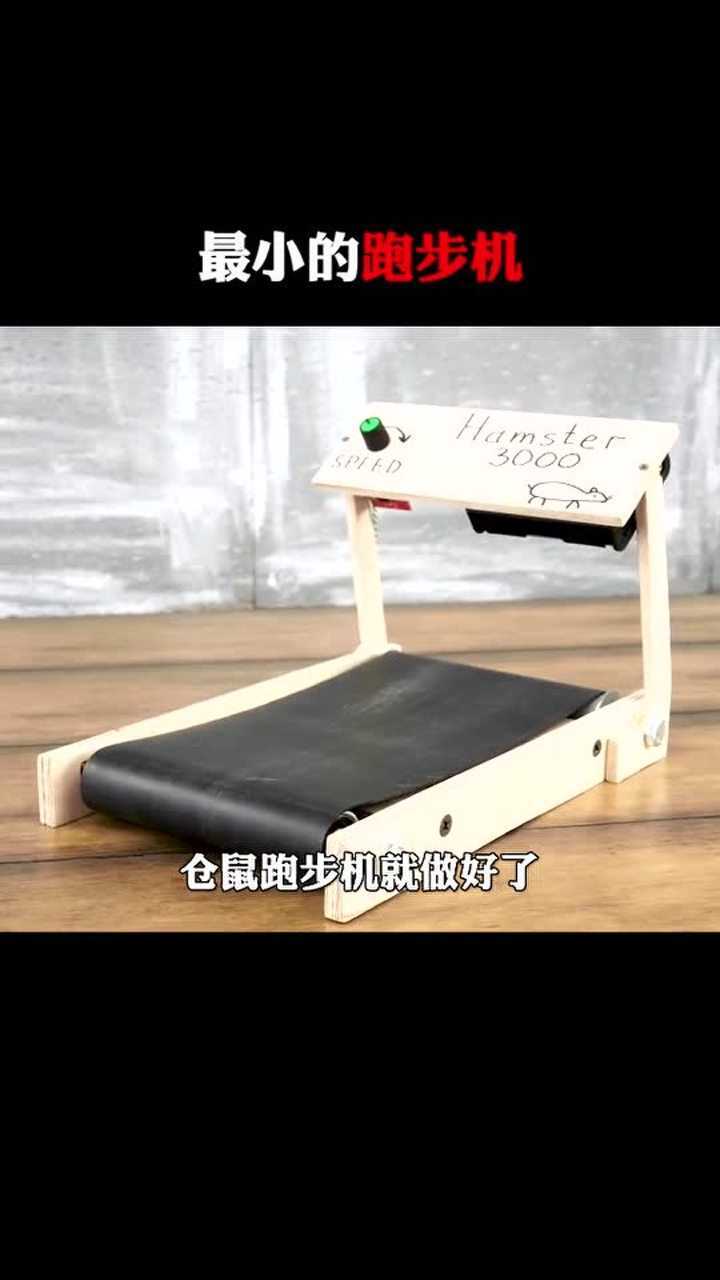 老鼠都有跑步机了
