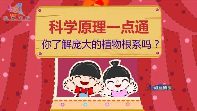 科普鹤庆737期:你了解庞大的植物根系吗?