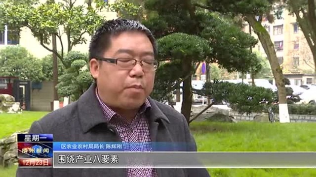 播州区集中观看2019年全省重大项目建设成果观摩展示片!