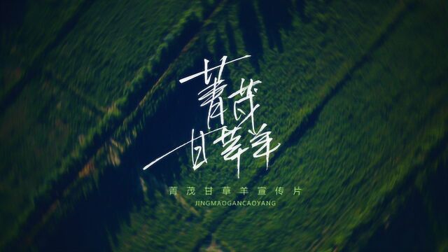 【纪录片】菁茂甘草羊(5MIN)