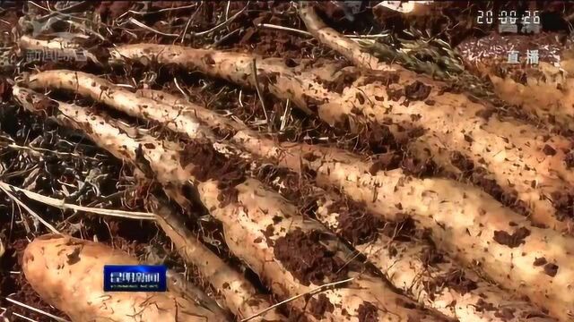 两封特殊的感谢信 发挥媒体优势 助力农民增收