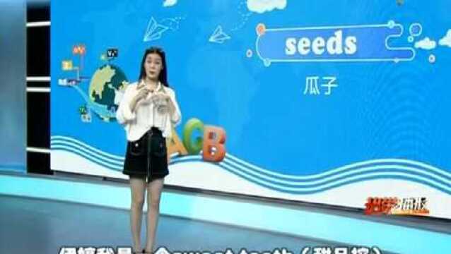 婷英语:seeds