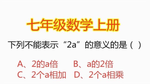 七年级数学:下列选项中不能表示“2a”的意义的是?