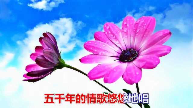 一首情歌《情歌飞扬》