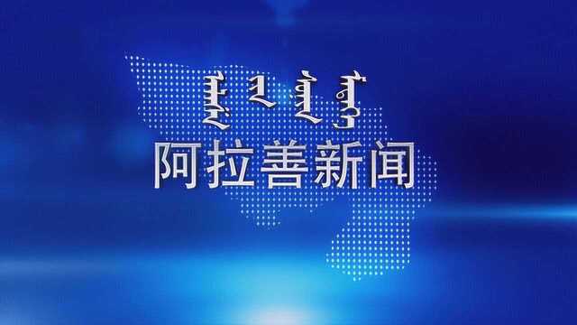 20200211阿拉善盟新闻