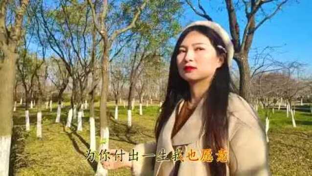 网络歌手一首《甘心情愿爱着你》歌声动人,越听越有韵味