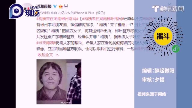 网传“梅姨”在郴州落网,经确认不是“梅姨”