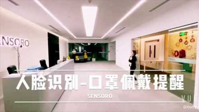 SENSORO灵思智能安全服务