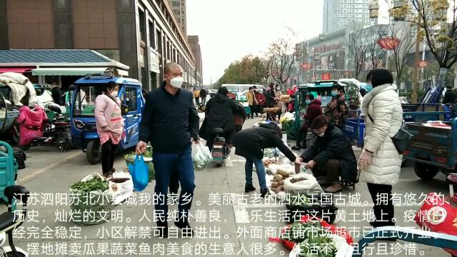 江苏泗阳疫情已稳定,外面市场摆地摊,卖瓜果蔬菜鱼肉美食的生意人很多.