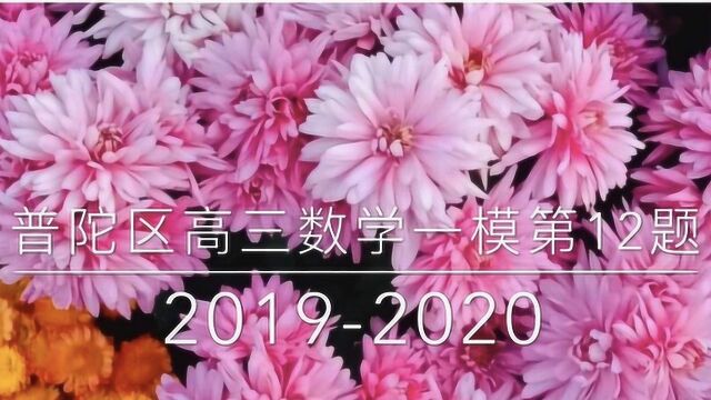 上海普陀高三数学一模(二)第12题2019学年(2020届)