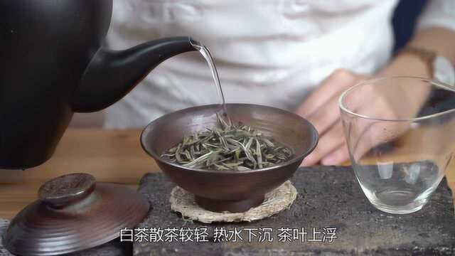 怎么泡茶都不好喝?茶企内部资料流出,教你泡好一款福鼎白茶!|吾雨茶课堂