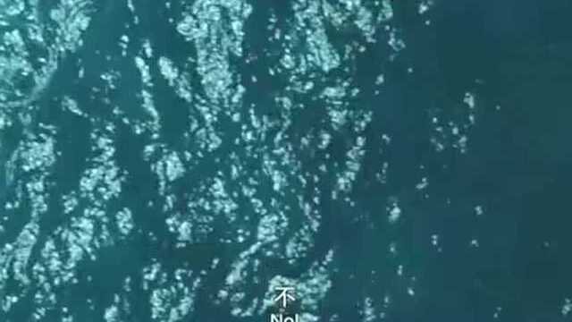 海盗船长杰克大战死人船长,海底大战抢夺海神三叉戟