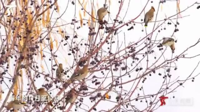 1500件帕米尔冰川矿泉水坐着火车去武汉