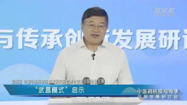 中国财富报道|刘保延:“武昌模式”是数字中药的模式