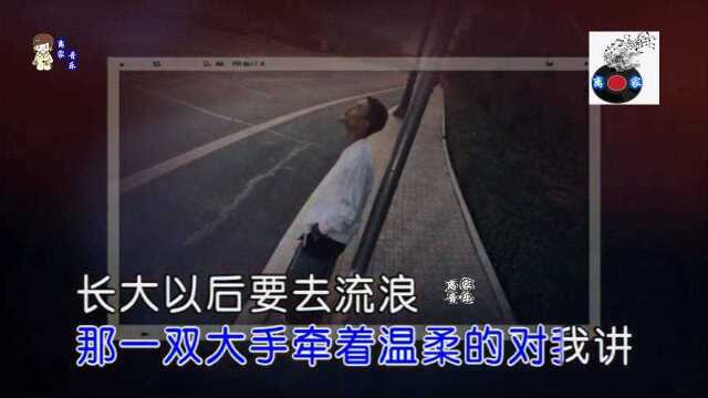 【热门歌曲】MC半阳  流浪(动态歌词)KTV版