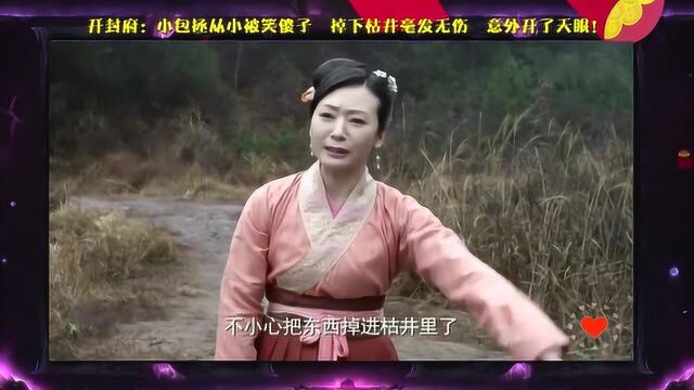 开封府:小包拯从小被笑傻子,掉下枯井毫发无伤,意外开了天眼!