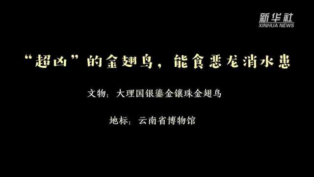 趣看文物:“超凶”的大理金翅鸟