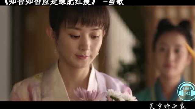 《知否知否应是绿肥红瘦》主题曲《知否知否》歌词书尽离人愁