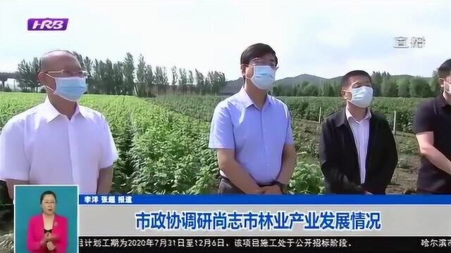 哈尔滨市政协调研尚志市林业产业发展情况 持续优化森林产业布局