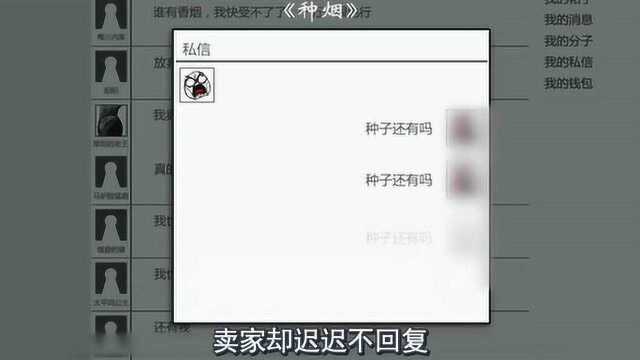 未来全球禁烟,小伙网购香烟种子,没想到真的种出了香烟