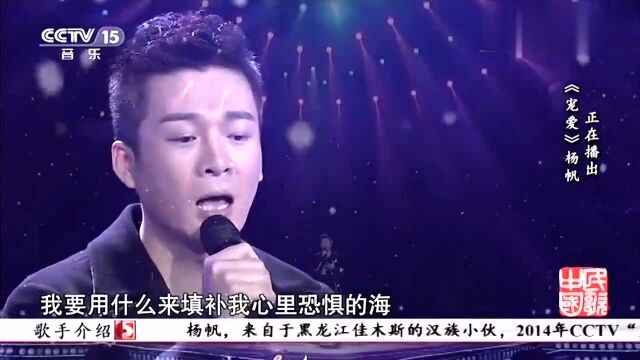 《宠爱》演唱:杨帆,宠你,爱你,甜到你心底!