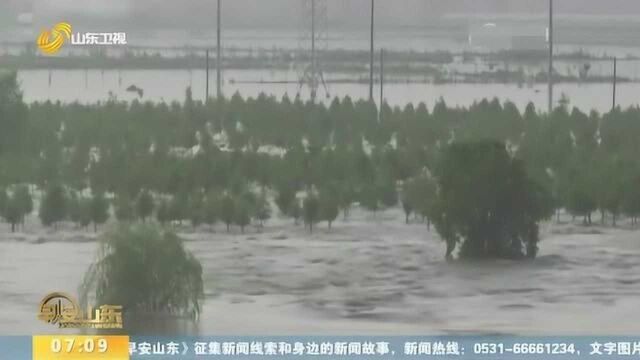 淮河洪水红色预警!7月21日起黄淮再迎暴雨