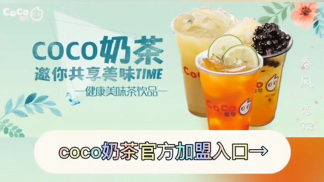 coco奶茶官网最新加盟政策:coco奶茶加盟费用,coco奶茶加盟条件,coco奶茶总部加盟电话,coco奶茶利润成本