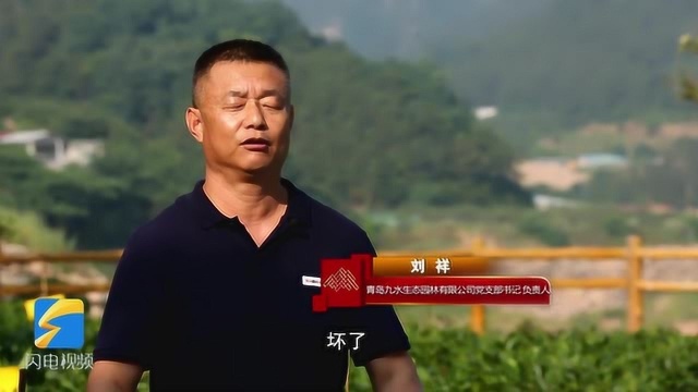 齐鲁最美退役军人丨刘祥:做事不能半途而废 要对得起“军人”这个称呼