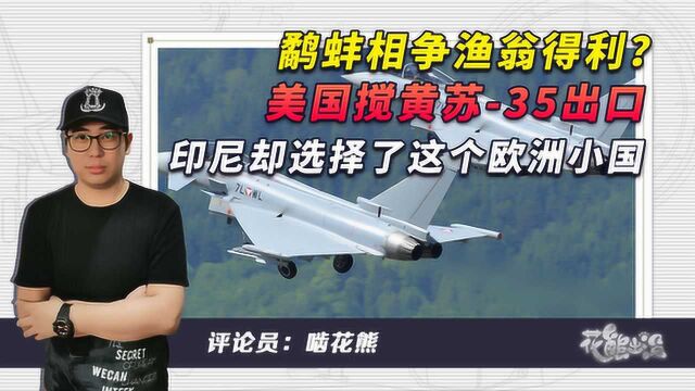 鹬蚌相争渔翁得利?美国搅黄苏35出口,印尼却选择了这个欧洲小国