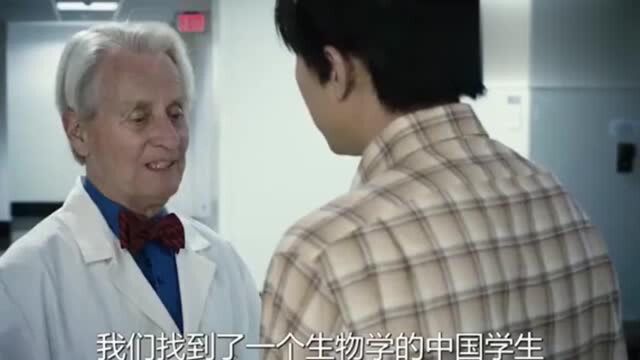 小伙说只有能做到人人平等,去了之后,被现实狠狠打脸