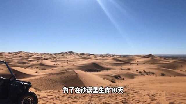 有人去沙漠旅游就是为了拍个杂志的封面你敢信?