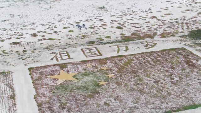 厉害了!解放军种树种到南海 西沙群岛上惊现“海上绿洲”