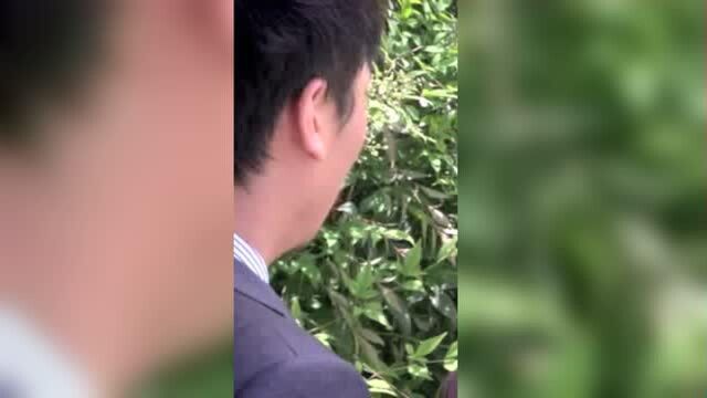 士杰想让士华认祖归宗,一家人团结起来,士华不领情