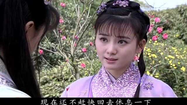 黛玉传:大观园女眷几乎都在宝玉屋里,只有黛玉自己不合群