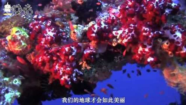 濒危物种水鹿现身云南,曾被认作是“神鹿”,如今却百年难遇