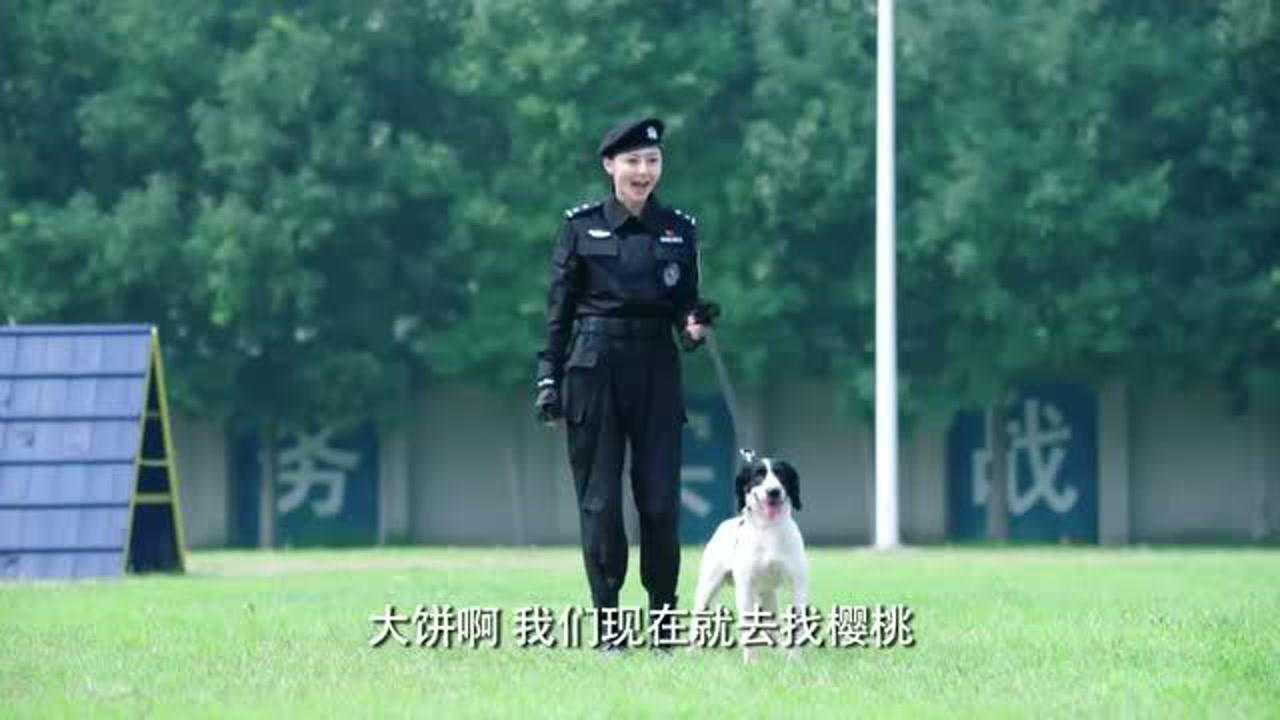 警花与警犬大饼被孤立没想到竟是为了警犬樱桃争风吃醋