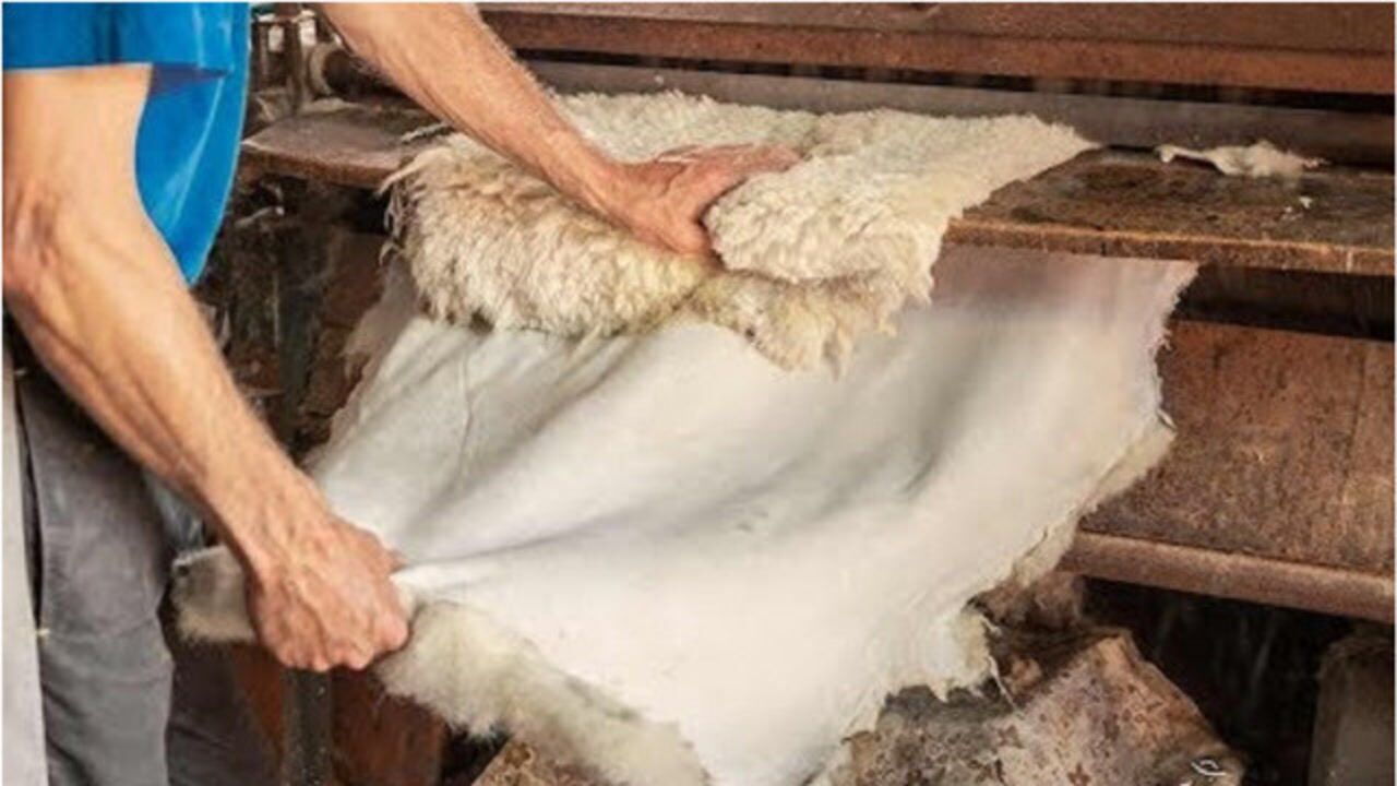 皮革加工工艺_腾讯视频